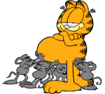 Garfield-Bellypot-gif.gif