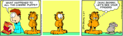 Garfield-2007-4-27.png