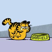 Garfield-AftermathPost.jpg