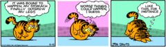 Garfield-1979-5-15.png
