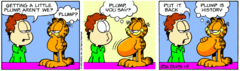 Garfield-2000-1-5.png