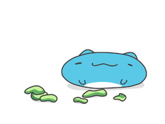 Capoo-animation-watermelon3.png