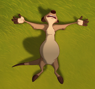 Timon p.png