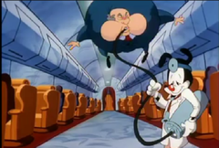 Animaniacs Inflation 9.png