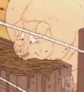 Fat Pig 7.PNG