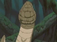 Naruto Snake 2.jpg