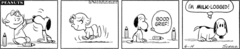 Peanuts - Milk bloated Snoopy.png