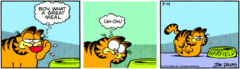 Garfield-1979-5-14.png