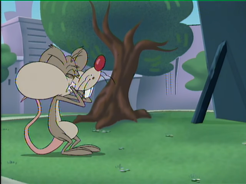 No Context JETIX! on X: Pinky and the Brain  / X