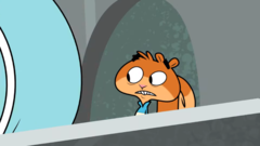 Scaredysquirrel-rodent5.png