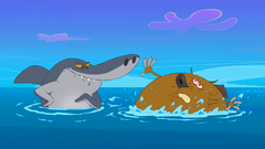 Zig & Sharko - The Big Cartoon Wiki