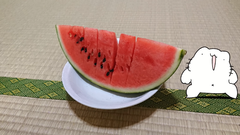 Karameru-watermelon1.png