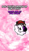 Rockyrakoon-pjpizza6.png