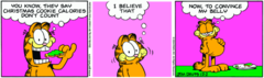 Garfield-2004-12-2.png