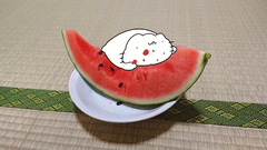 Karameru-watermelon6.png