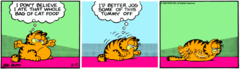 Garfield-1982-2-17.png