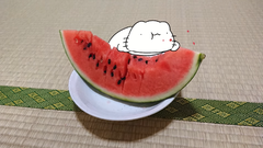 Karameru-watermelon4.png