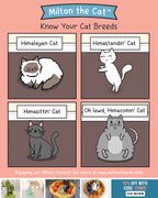 Mtc-2235 Friday 6-23 know your cat breeds.jpg