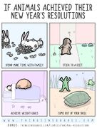 Tis-animals-new-years-resolutions.jpg