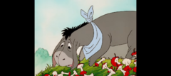Donkey for a DayWTP3.png