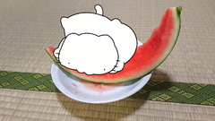 Karameru-watermelon10.png