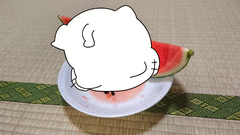 Karameru-watermelon11.png
