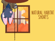 Natural Habitat Shorts-Site Bumper.png