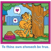 Garfield-tummy-post.jpg