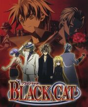 Black Cat Anime.jpg