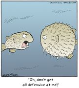 Break-of-day-2014-12-8-464108395 8669037413139928 1782455887500385094 n.jpg