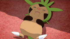 Slate-chespin2.png