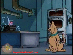 shaggy and scooby doo get a clue mystery machine