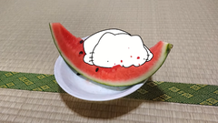 Karameru-watermelon8.png