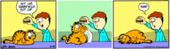 Garfield-1982-2-19.png