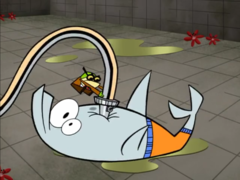 Hose In Dolphin.png