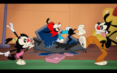 Animaniacs2020-WD-1.png