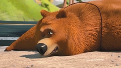 Grizzy constructionbear-2.png