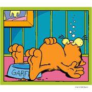 Garfield-2017Weekend-Post.jpg
