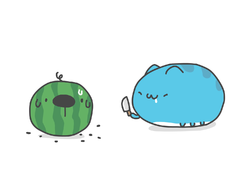 Capoo-animation-watermelon11.png