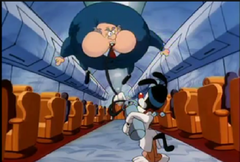 Animaniacs Inflation 6.png