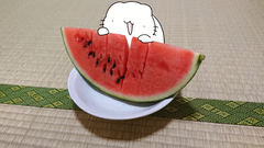 Karameru-watermelon2.png