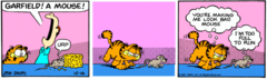 Garfield-1981-10-16.png